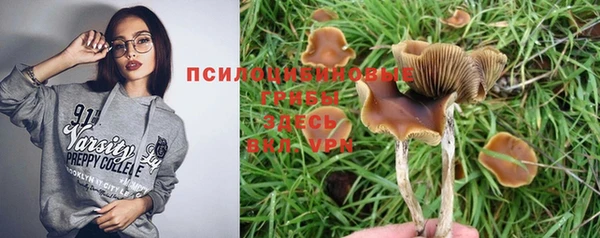 твердый Балахна