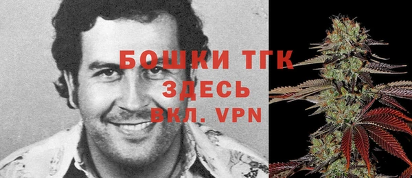 гидра Баксан